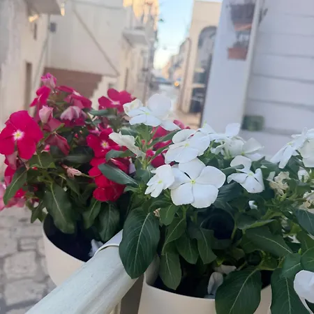La Casetta Sobb A Sil Hébergement de vacances Ceglie Messapica